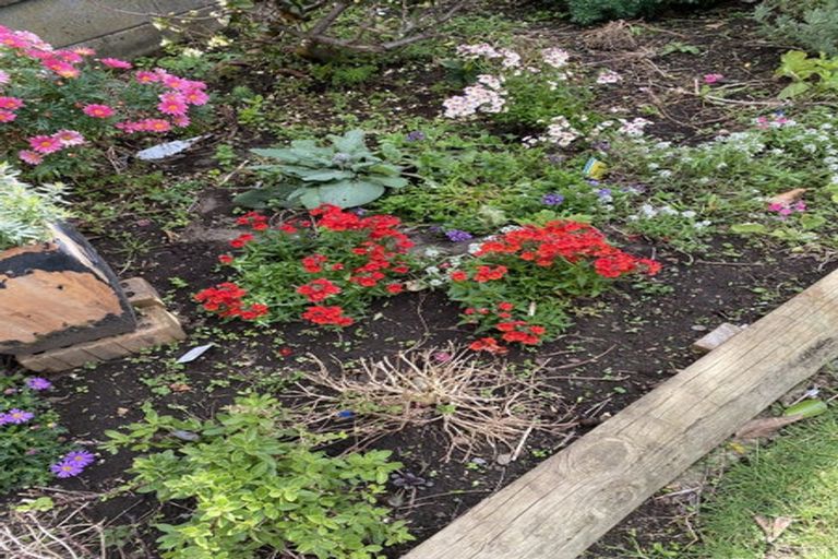 Photo of property in 100 Centennial Avenue, Waitara, 4320