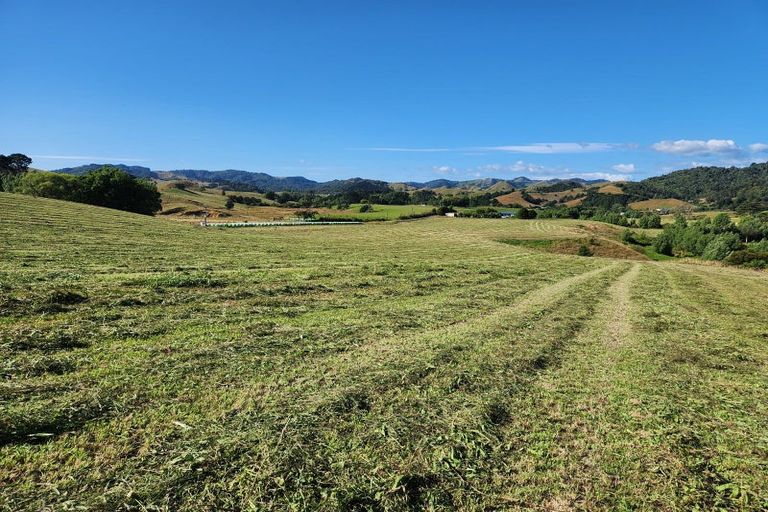 Photo of property in 211 Waitetuna Valley Road, Waitetuna, Raglan, 3295