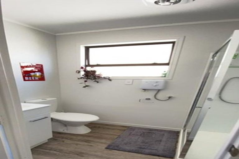 Photo of property in 217 Waitao Road, Waitao, Tauranga, 3175