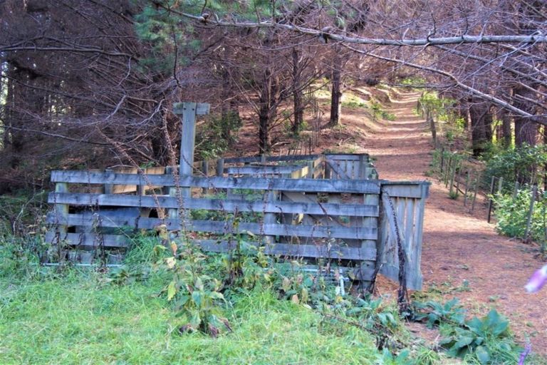 Photo of property in 55 Reikorangi Road, Waikanae, 5391