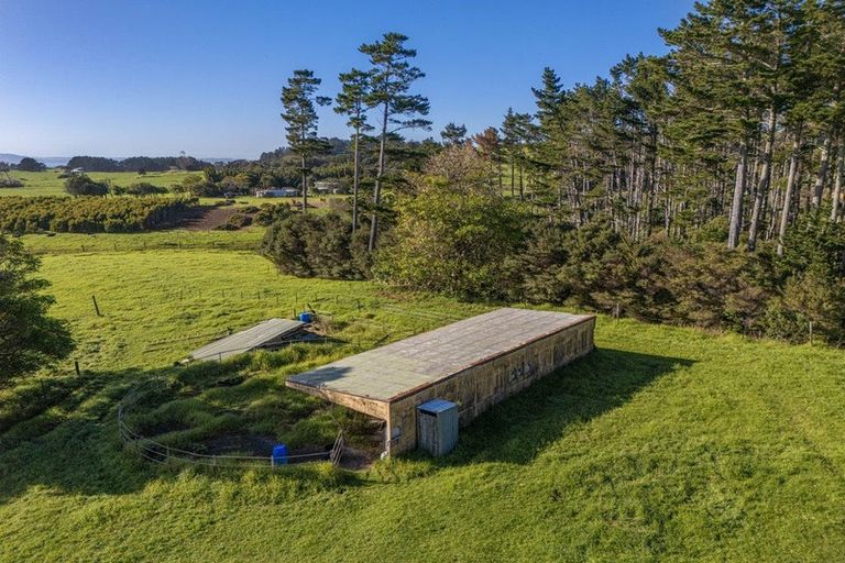 Photo of property in 2640 South Head Road, South Head, Helensville, 0874