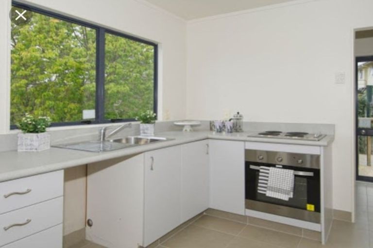 Photo of property in 74 Tom Muir Drive, Gate Pa, Tauranga, 3112