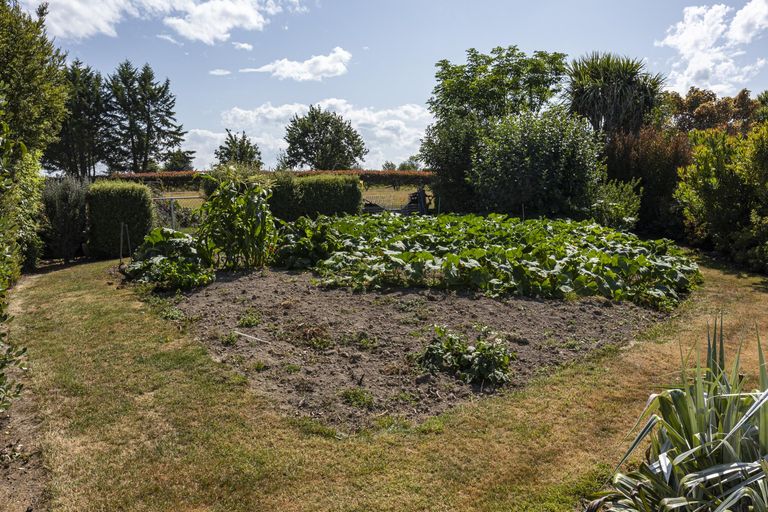 Photo of property in 41 Kalaugher Road, Geraldine Downs, Geraldine, 7991