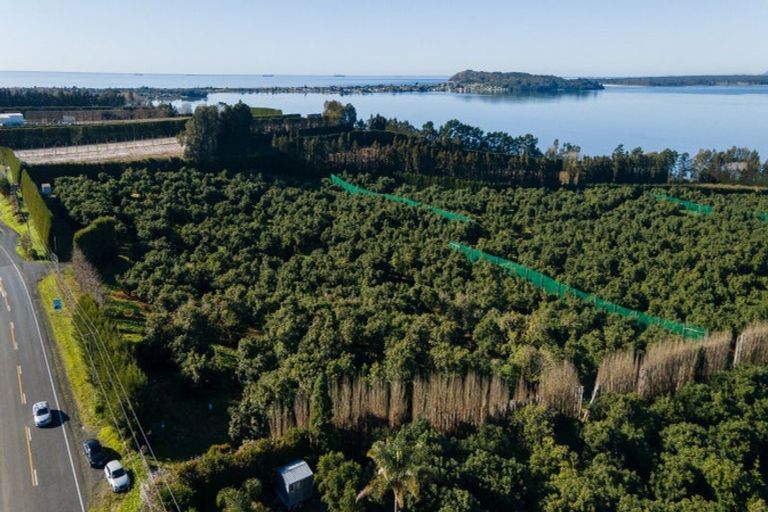 Photo of property in 229 Athenree Road, Athenree, Waihi Beach, 3177