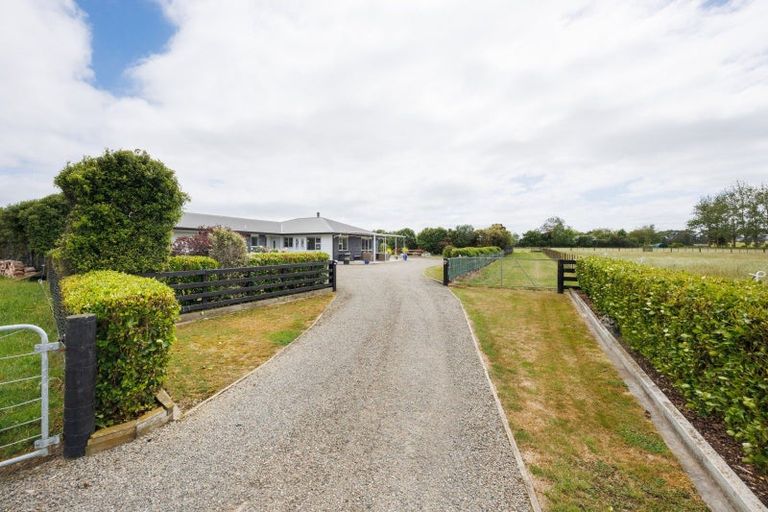 Photo of property in 271 Reid Line East, Aorangi, Feilding, 4775