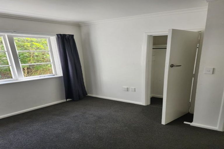 Photo of property in 153 The Ridgeway, Mornington, Wellington, 6021