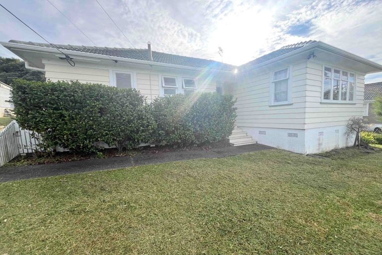 Photo of property in 2 Kohekohe Street, New Lynn, Auckland, 0600