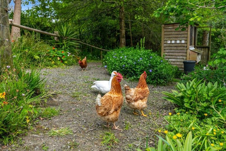 Photo of property in 56a Kaipara Coast Highway, Helensville, Kaukapakapa, 0871