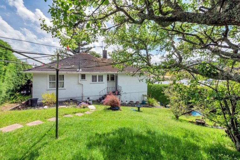 Photo of property in 44 Selwyn Crescent, Forrest Hill, Auckland, 0620