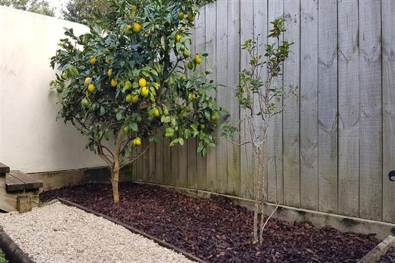 Photo of property in 7b Cliff Road, Torbay, Auckland, 0630