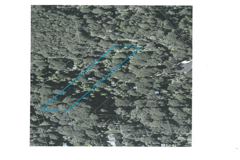 Photo of property in 19 Hayes Road, Henderson Valley, Auckland, 0612