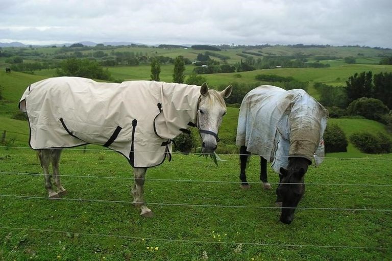 Photo of property in 44 Slater Road, Ruawaro, Huntly, 3772