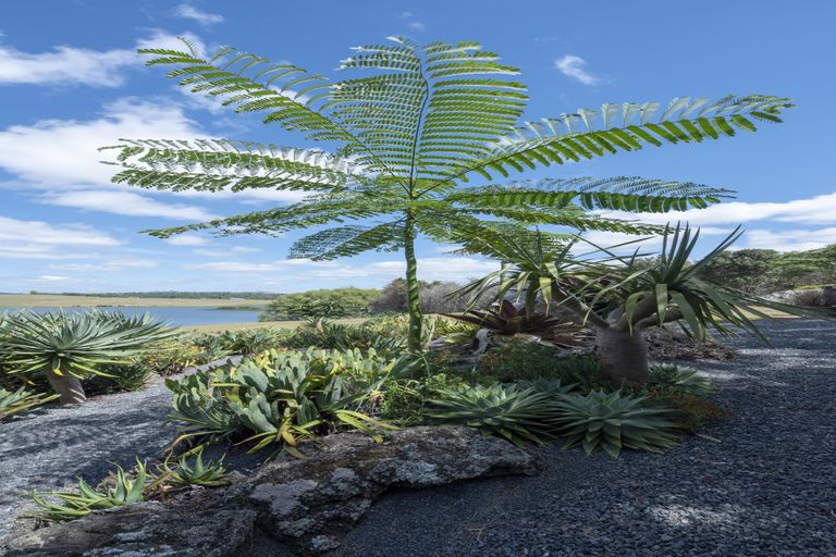 Photo of property in 126 Lakeland Lane, Pakaraka, Kaikohe, 0472