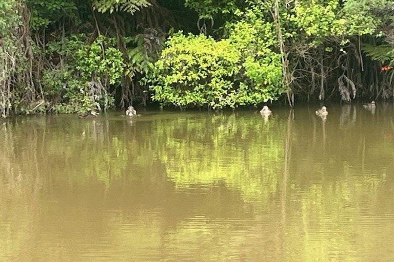 Photo of property in 216 Massey Road, Waipu, 0582