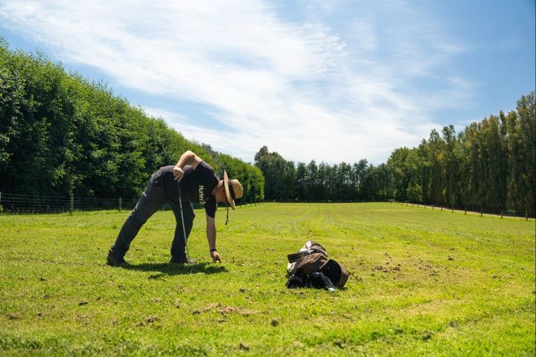 Photo of property in 459 Flora East, Makarewa, Invercargill, 9876