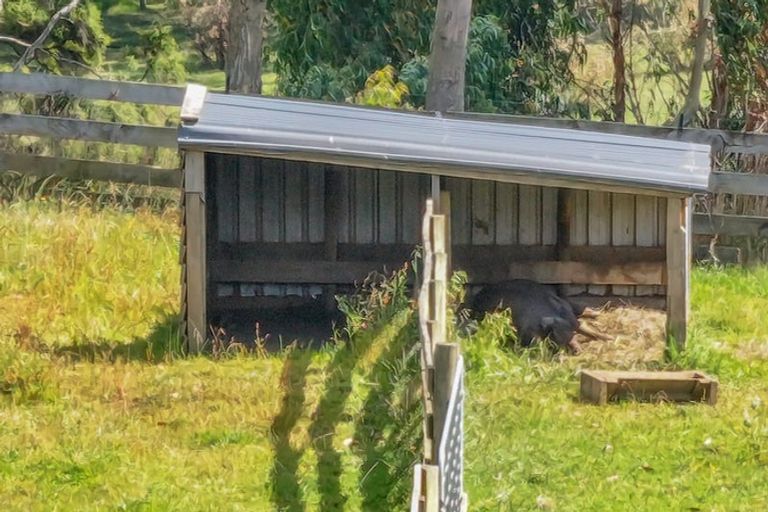 Photo of property in 800 Tuhikaramea Road, Ngahinapouri, Hamilton, 3290