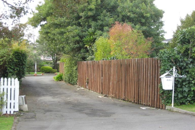 Photo of property in 43a Chambers Street, Havelock North, 4130