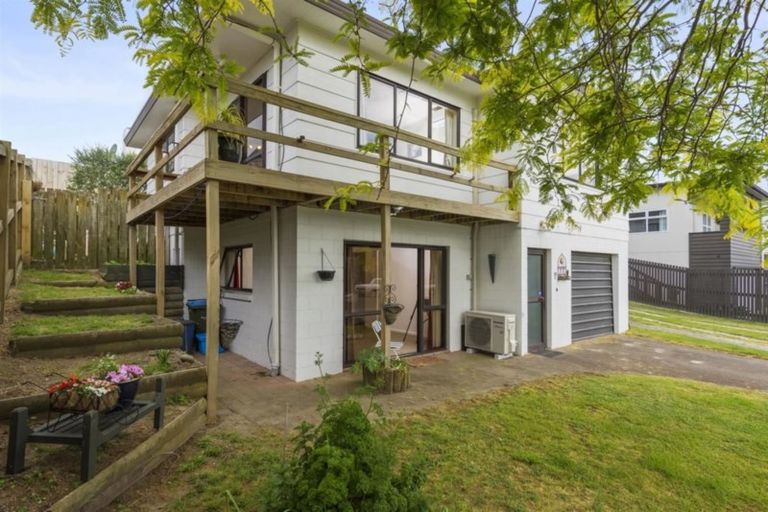 Photo of property in 19b Campbell Road, Mount Maunganui, 3116