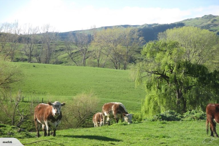 Photo of property in 1035 Kairakau Road, Kairakau, Havelock North, 4295