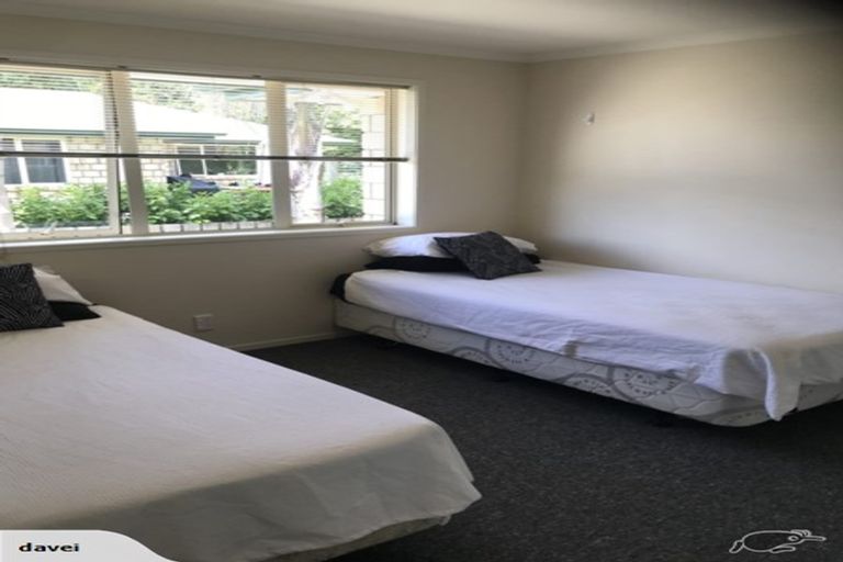 Photo of property in 53d Allen Street, Morrinsville, 3300