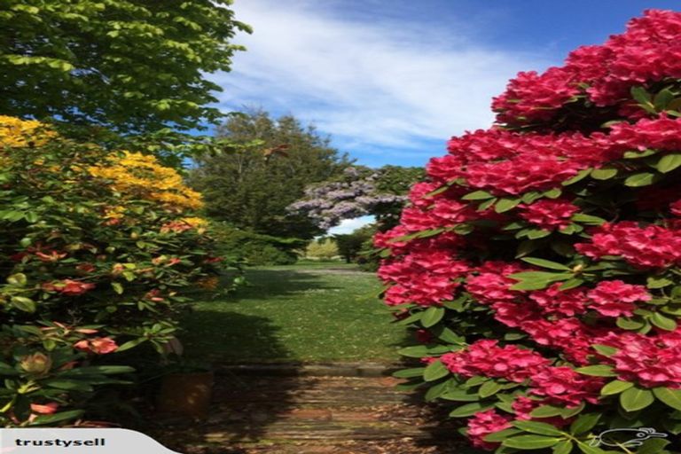 Photo of property in 187 Whiterig Road, Whiterigg, Gore, 9773