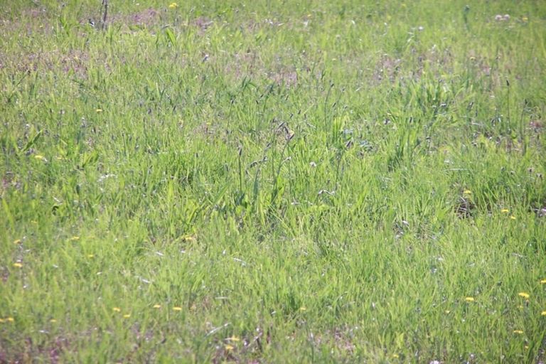 Photo of property in 7 Lake View Terrace, Huntingdon, Ashburton, 7774