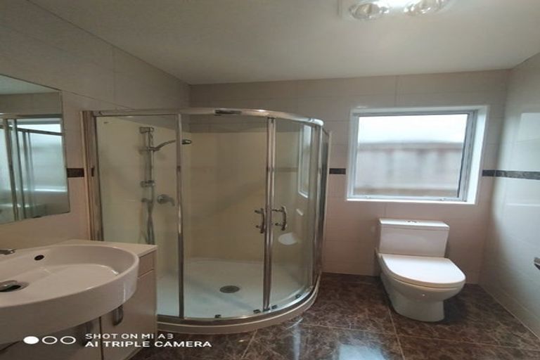 Photo of property in 48 Helianthus Avenue, Flat Bush, Auckland, 2019