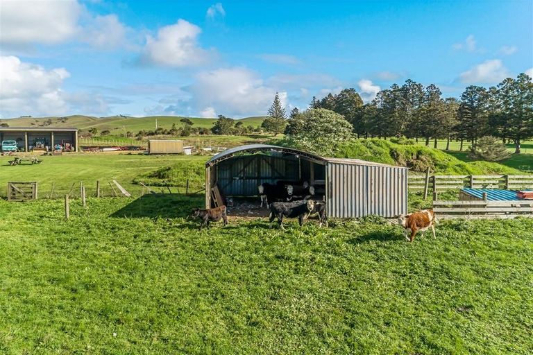 Photo of property in 275 Peak Road, Kaukapakapa, Helensville, 0875