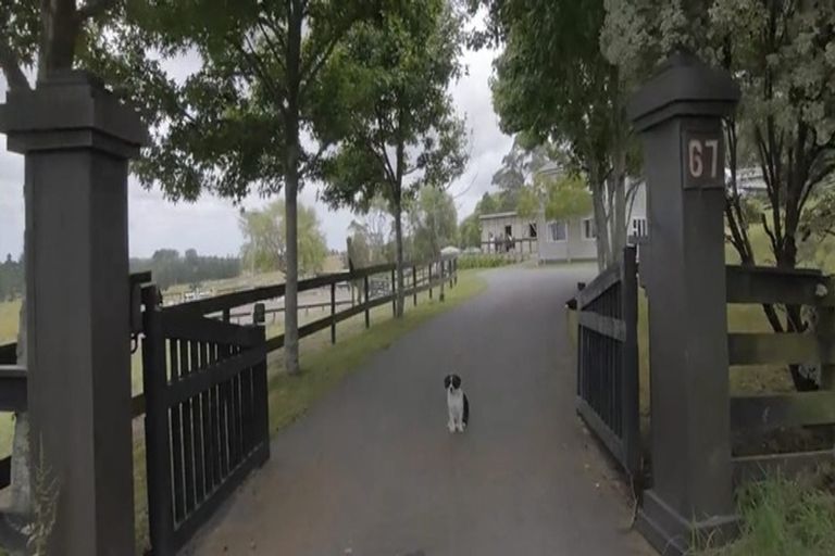 Photo of property in 67 Horseshoe Bush Road, Dairy Flat, Albany, 0794