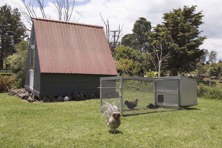 Photo of property in 267 Punakitere Road, Taheke, Kaikohe, 0473