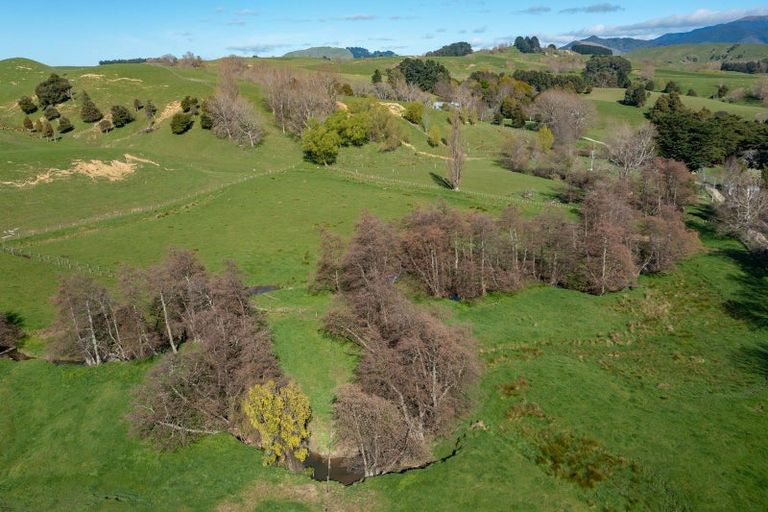 Photo of property in 739 Matahiwi Road, Matahiwi, Masterton, 5888