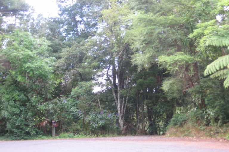 Photo of property in 34 Tanekaha Road, Titirangi, Auckland, 0604