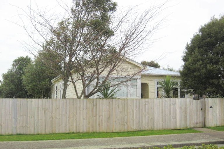 Photo of property in 18 Douglas Street, Levin, 5510