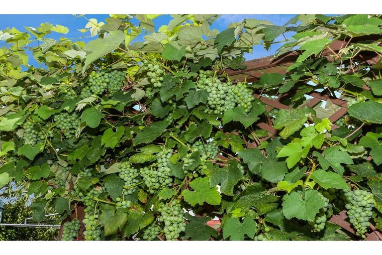 Photo of property in 2/101a Clevedon Road, Papakura, 2110