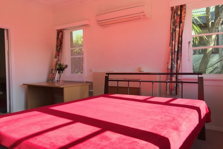 Photo of property in 45 Pacific Street, Roslyn, Dunedin, 9010