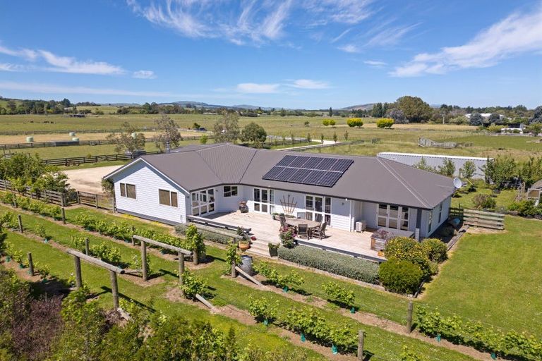 Photo of property in 39 Carters Line, Parkvale, Carterton, 5792