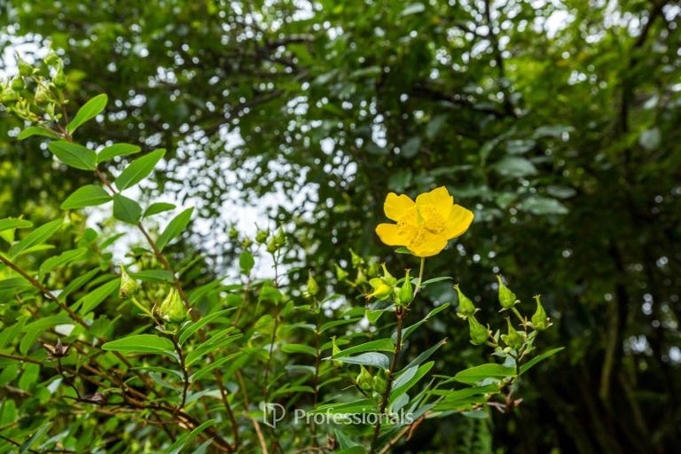 Photo of property in 2150 Akatarawa Road, Akatarawa Valley, Upper Hutt, 5372