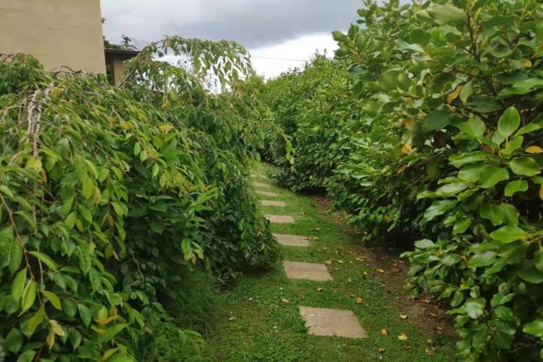 Photo of property in 42 Rame Road, Greenhithe, Auckland, 0632