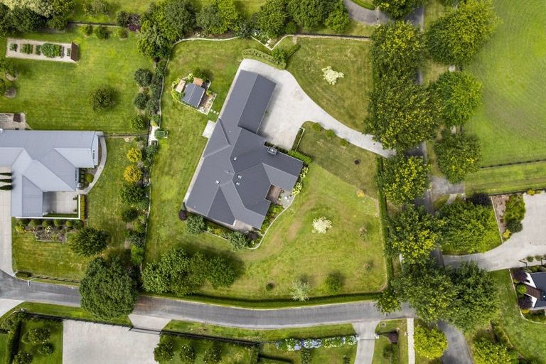 Photo of property in 41 Eldonwood Drive, Matamata, 3400
