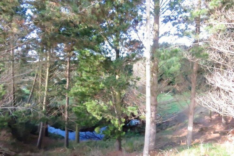 Photo of property in 143 Homestead Road, Weston, Oamaru, 9491