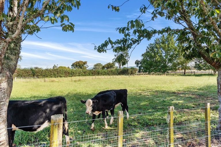 Photo of property in 653 Te Kowhai Road, Te Kowhai, Hamilton, 3288