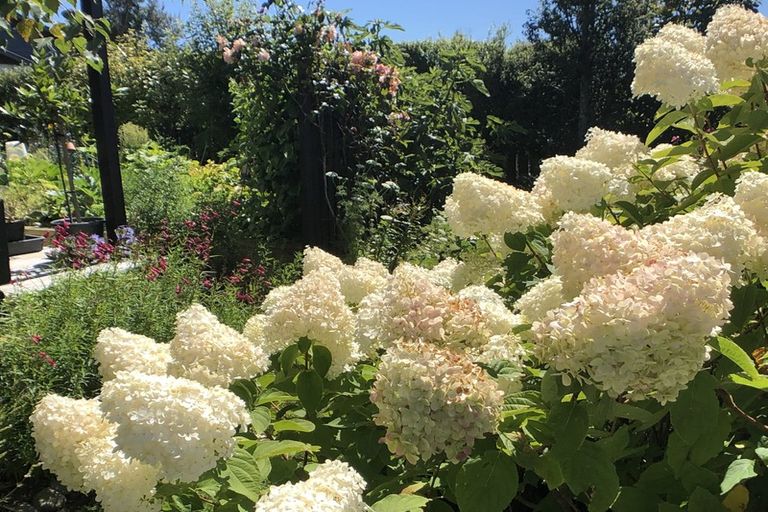 Photo of property in 19 Bengston Street, Eketahuna, 4900