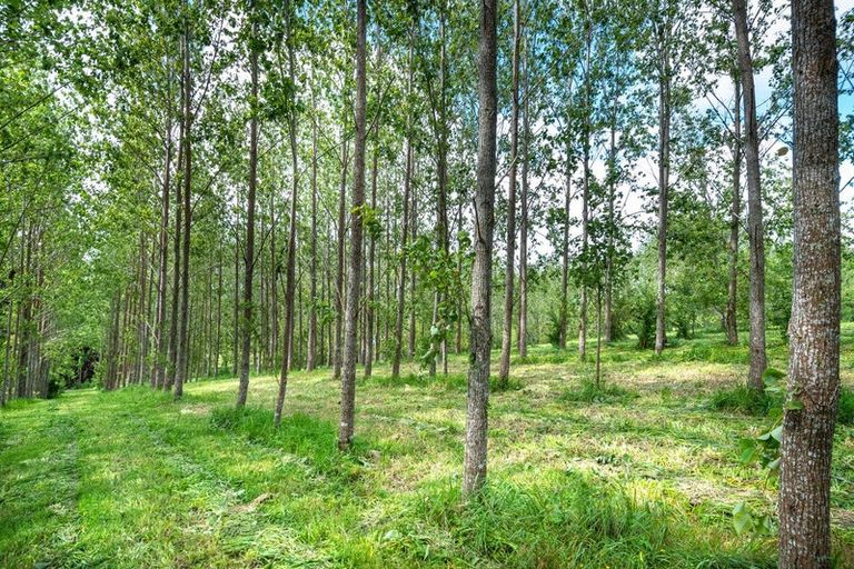 Photo of property in 96 Pomona Road, Kumeu, 0891