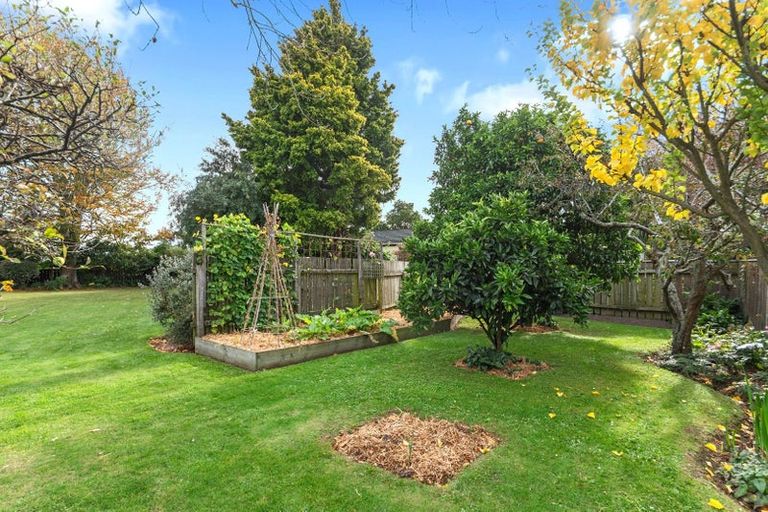 Photo of property in 8 James Street, Lincoln, 7608