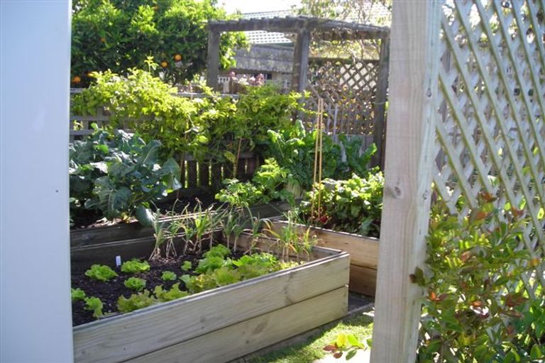 Photo of property in 57 Keepa Road, Coastlands, Whakatane, 3191