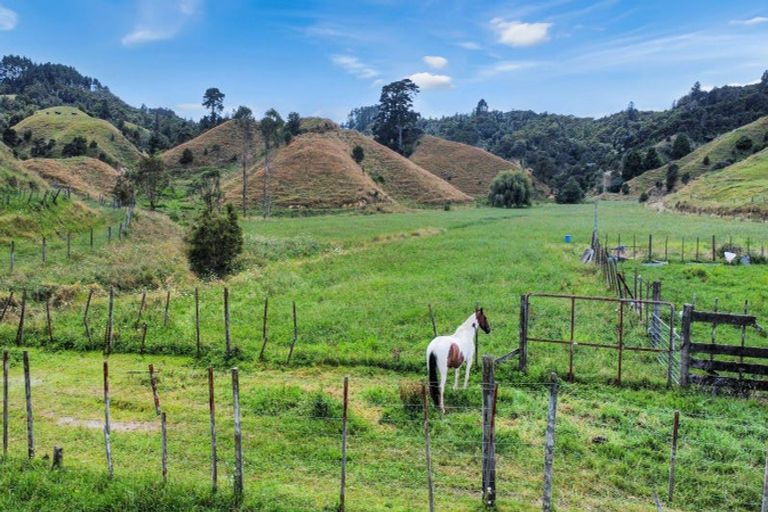 Photo of property in 791b White Pine Bush Road, White Pine Bush, Whakatane, 3191