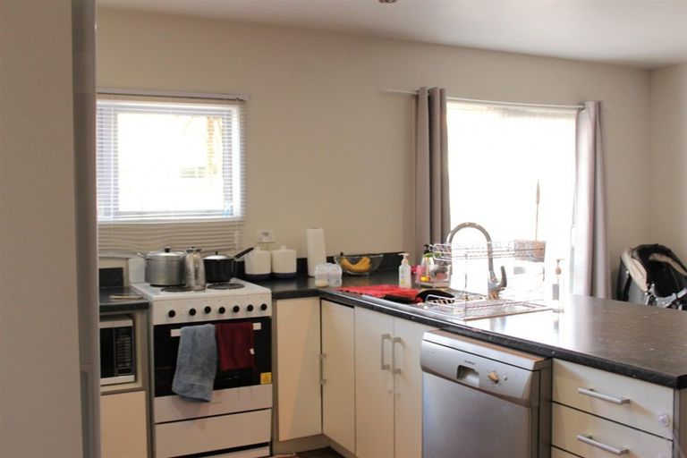 Photo of property in 24 Walker Street, Waihi, 3610