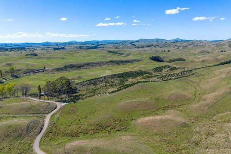 Photo of property in 300 Pattison Road, Akina, Hastings, 4122