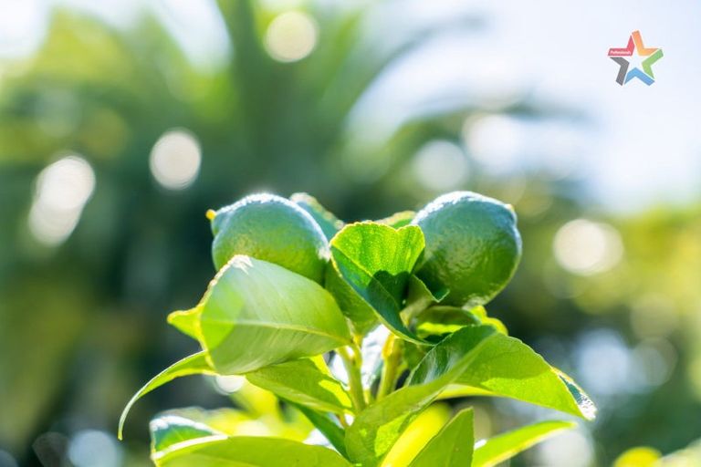 Photo of property in 7 Charles Street, Belmont, Lower Hutt, 5010