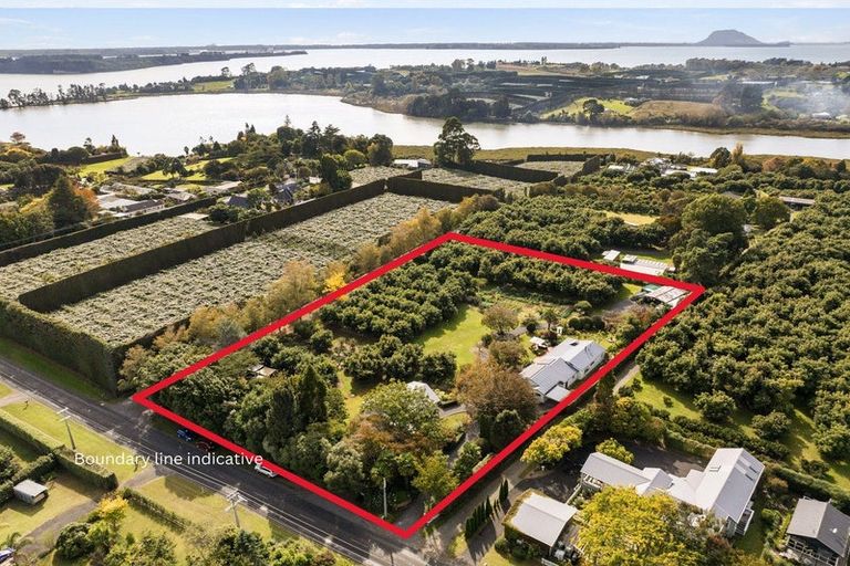 Photo of property in 322 Snodgrass Road, Te Puna, Tauranga, 3174